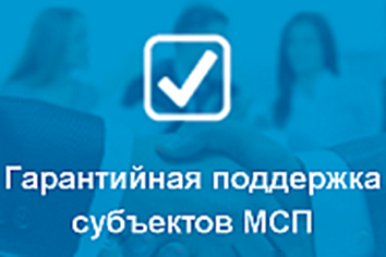 Гарантийная поддержка стала доступна большему числу начинающих предпринимателей.