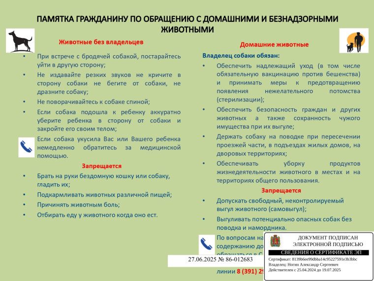 Памятка гражданину по обращению с домашними и безнадзорными животными. Памятка гражданину по обращению с домашними и безнадзорными животными.